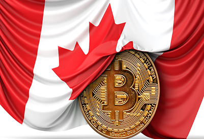 Ruby on Rails Creator Capitulates on Bitcoin After Seeing Canadian Governments Response to Freedom Convoy