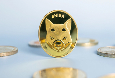 The Number of SHIB Holders Shudders in 3 Days Shiba Inu Slid 17 Percent in Value Last Month