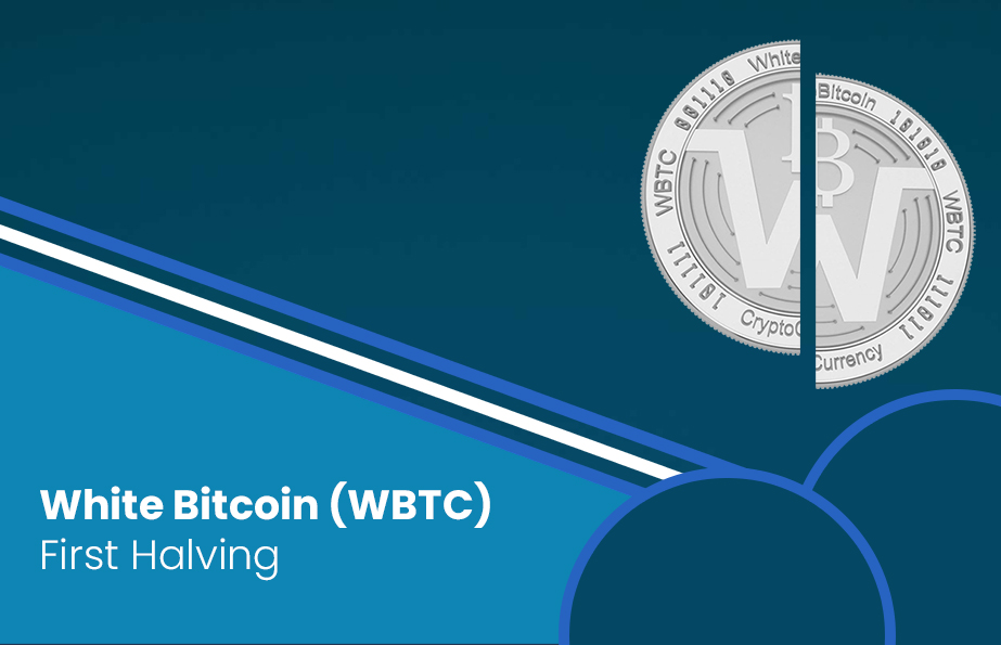 Understand WBTC Halving and its Future Impact on the Global Crypto Network