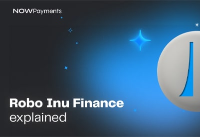 Cryptocurrencies Explained Robo Inu Finance